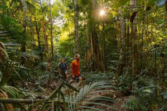 Winter is the best time of year for hiking Mowbray National Park.