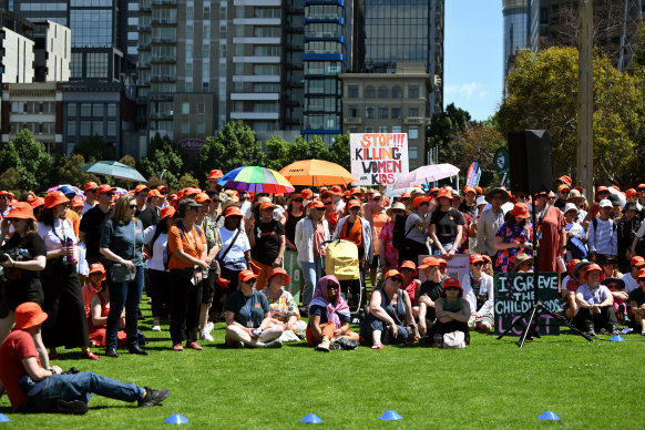 The Walk Against Family Violence.
