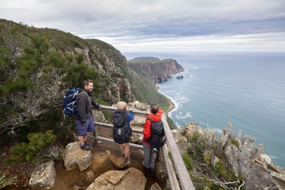 A viewing platform on the walk to Cape Raoul - it is the cape in the distance.