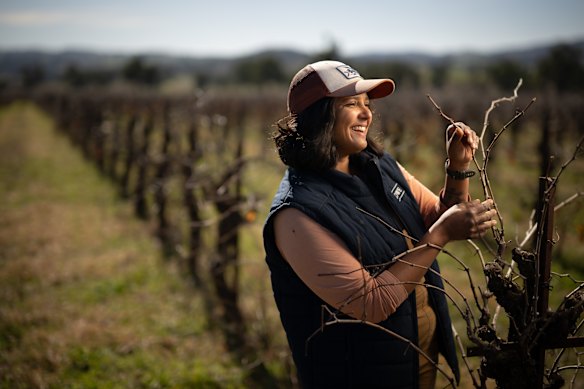 Kesh Mudaly inspecting Block 5 Shiraz bush vines in preparation for pruning.