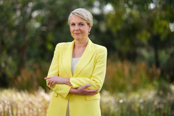 Tanya Plibersek