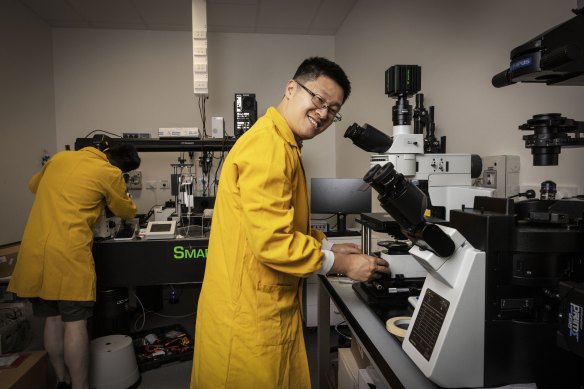 Arnold Ju at work in his lab in Sydney.