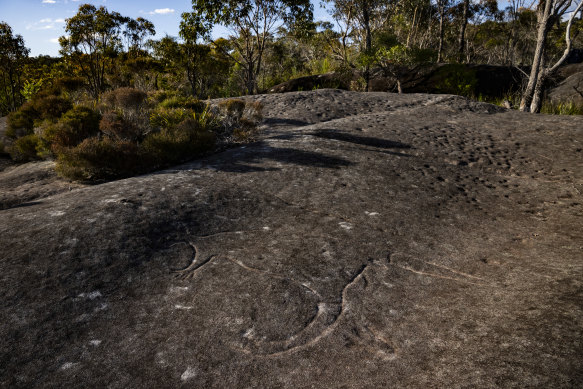 Rock engravings at Lizard Rock are “regularly and repeatedly destroyed by vandals” and a significant portion of the site suffers from land degradation.
