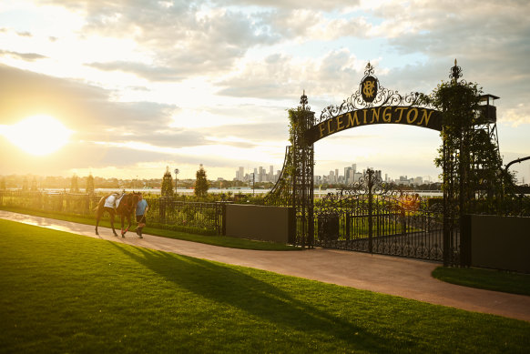 Romantic Warrior prepares for track work at Flemington ahead of the spring carnival.