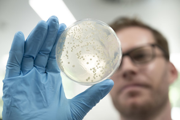 Synthetic biologist Tom Collier has invented a palm oil substitute using yeast.