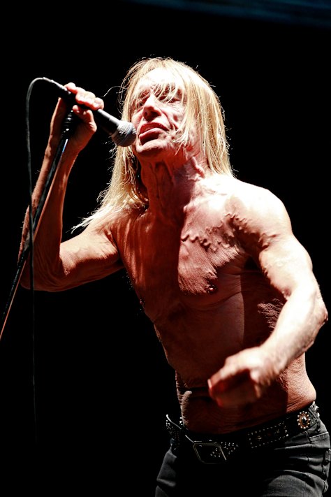 Iggy & The Stooges performing at Bluesfest in 2013.