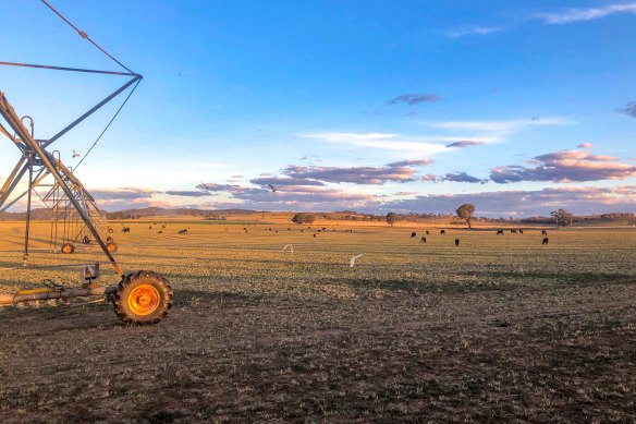 Changes to land use on farms  is one activity eligible for carbon credits under the Emissions Reduction Fund.