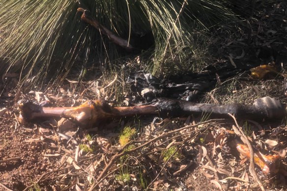 The horses body parts were strewn across Dale Road.