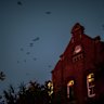 Abbotsford Convent will host Bat Massive this weekend, with live music, art and guided tours along the river.
