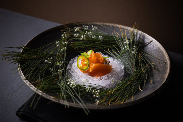 Tasmanian salmon with pickled jalapeno and shiso cress at Amara.
