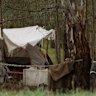 More than two dozen people have set up semi-permanent residence in Wilks Park and near Wagga beach, where a woman gave birth.