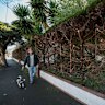 This hedge was their pride and joy. Then came the council email to ‘butcher’ it