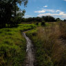 Westleigh Park this month. Hornsby Shire Council was awarded a $40 million grant in 2018 for the Westleigh Park project.