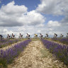 Are there any Europe cycling trips suitable for novices?