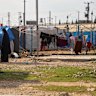 The al-Roj Camp in eastern Syria.