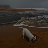 Photographs show scenes from the Central coast today where a deepening low pressure system off the coast is producing large and powerful surf. Avoca lake emptying into the beach but experiencing push back from the ocean. Photograph taken Monday 19th May 2025. by Dean Sewell / The Sydney Morning Herald