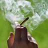 More than one in 10 Australians admit to having used cannabis in the past year.