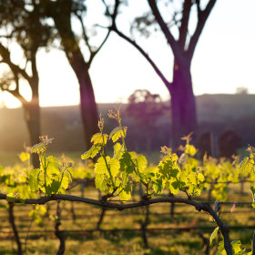 Boomtown is located in a Castlemaine winery.