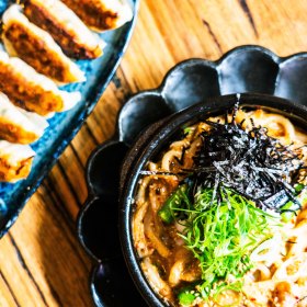 Gyoza and noodles.