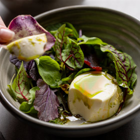 Goat’s cheese custard, Andean crisps, aji panca and huacatay oil.