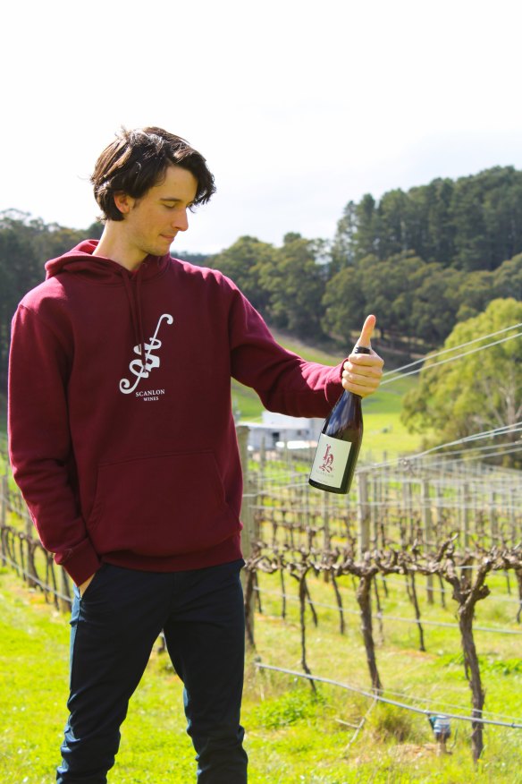 ‘Everything we do is about family’: Winemaker Harry Scanlon at his vineyard in the Adelaide Hills.