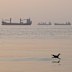 Ships anchored in the Strait of Hormuz off Bandar Abbas, Iran, on the weekend.