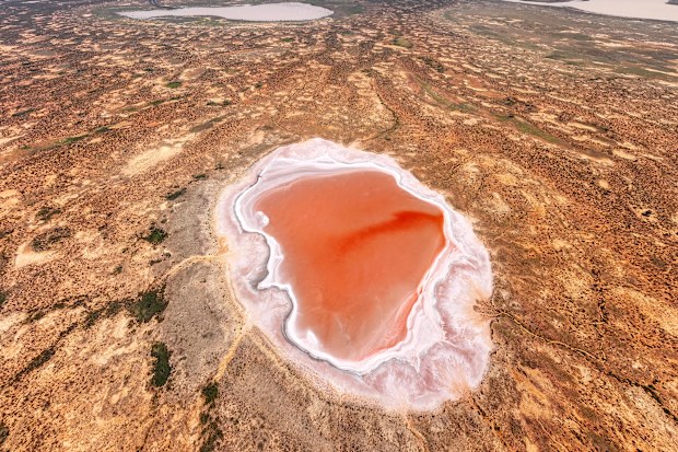 First rare pink lakes in NSW to become a tourist attraction.
