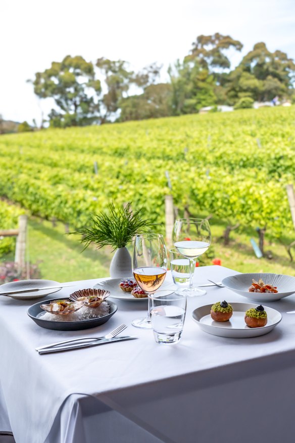 Vineyard views.