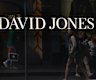 David Jones is a flagship of Australian retail, but lost billions in value under its previous owners.