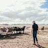 Sheep and beef farmer Bernie Free on his property near Winslow, Victoria where the effects of the drought are being felt.
