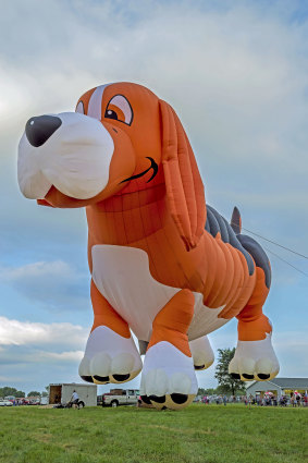 The US hot air balloon "Beagle Maximus" will be the star of this year's Canberra Balloon Spectacular, where it will appear for the first time, organisers say.