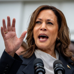 Vice President Kamala Harris.