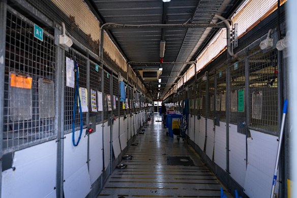 The A Block kennels, which house 54 dogs, are notorious at the home because of their ageing infrastructure. 