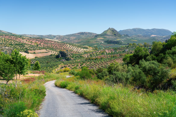 The lush Via Verde de la Sierra cycling trail.