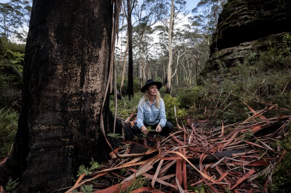 Christie Little in bushland behind her Blackheath property.