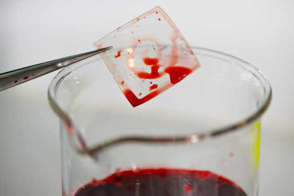 A swirl, painted in a zwitterionic substance, reveals itself by clinging on to this food-dyed water, demonstrating the water-loving properties of the zwitterions which can be used to propel blood clots.
