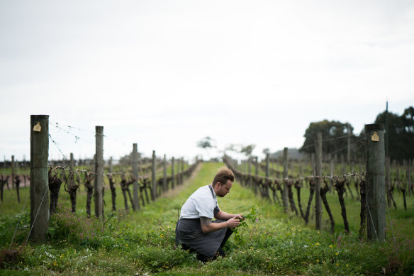 Vasse Felix, Margaret River, Western Australia.