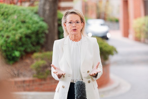 Opposition Leader Sussan Ley, pictured in Canberra on Friday, had opened the door to quotas for women MPs.