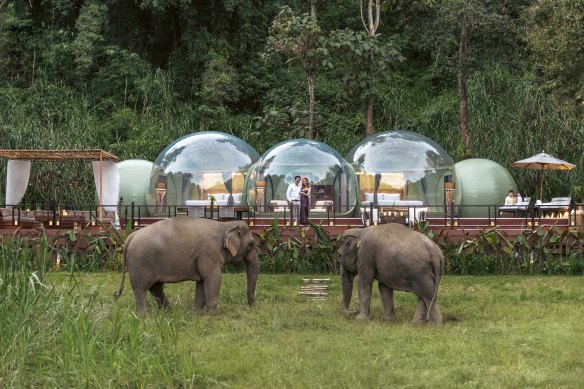 Elephant gazing has never been so luxe, with additions such as a hot tub.