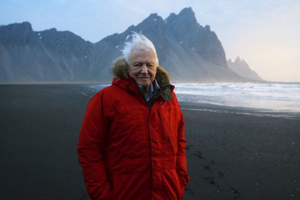 David Attenborough on Stokksnes Beach, Iceland, during filming of his latest series, Seven Worlds, One Planet.