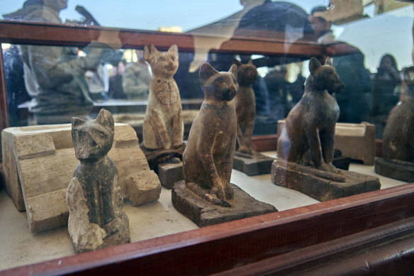 An extensive collection of 75 wooden and bronze statues of cats of different shapes and sizes are displayed in Saqqara, south Giza, Egypt. Egypt's Ministry of Antiquities revealed details on recently discovered animal mummies, saying they include two lion cubs as well as several crocodiles, birds and cats. 