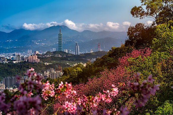 Taipei, pictured in spring, is surrounded by mountains known as the Four Beasts - the Tiger, Leopard, Lion and Elephant Mountains.