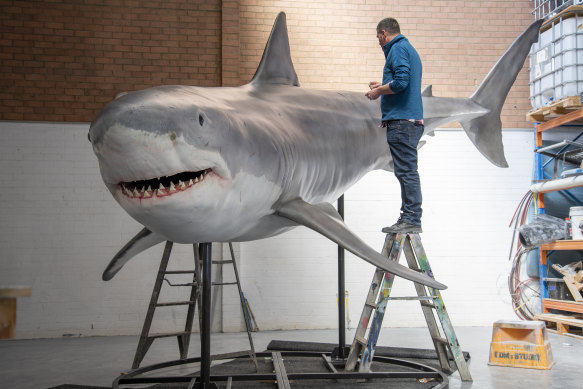 Daniel Browne’s CDM Studio was commissioned to create 11 life-sized shark models for The Australian Museum. 