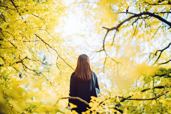 “Yesterday
morning, before an important call,
I spent 20 minutes sitting on a bench,
looking up at the trees.”