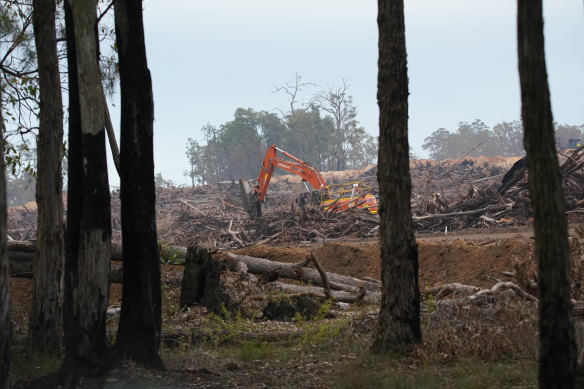 Alcoa has cleared 280 square kilometres of jarrah forest in WA.