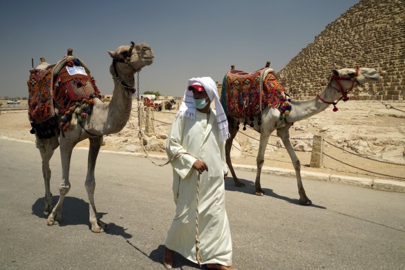 A guide wears a surgical mask while leading his camel at the Giza Pyramids on Wednesday. 