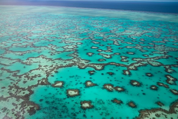 Heron Island has the clearest, brightest blue water you’ll see.