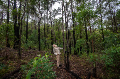 Bruce Pascoe - Figure 3