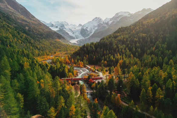 Piz Bernina in the Swiss Alps in autumn, the Morteratsch glacier in the distance.