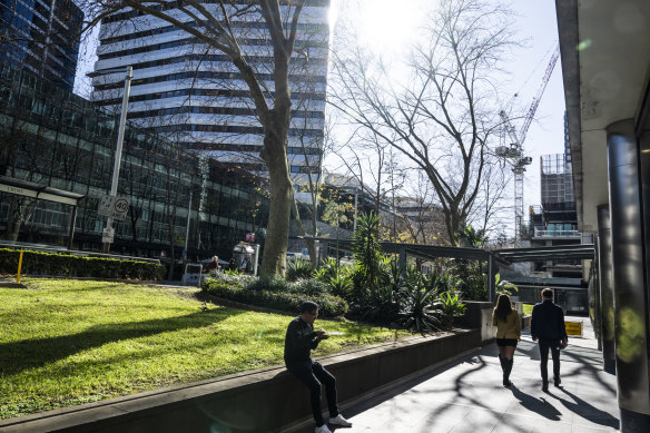 Where to plant more trees? North Sydney faces a challenge.